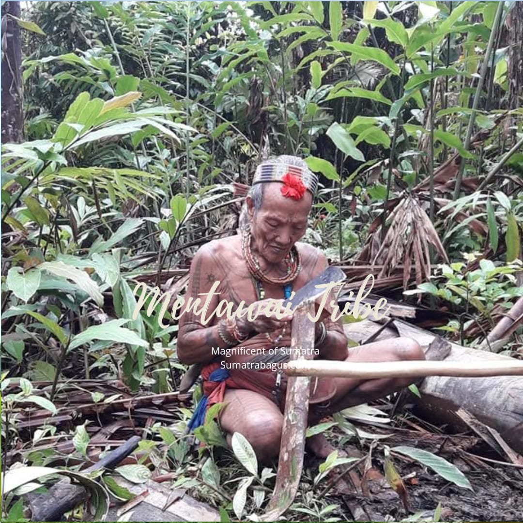 Mentawai Tribe & Pacu Jawi Photography Expeditions - 7 DAYS 6 NIGHTS
